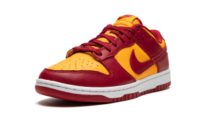 nike-dunk DD1391-701