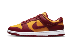 nike-dunk DD1391-701