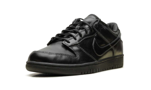 nike-dunk IQ3342-001