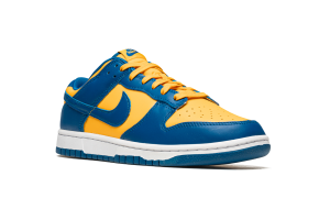 nike-dunk DD1391-402