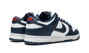 nike-dunk DD1391-400