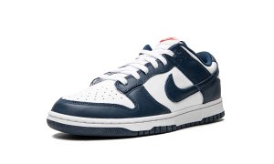 nike-dunk DD1391-400