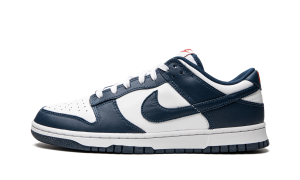 nike-dunk DD1391-400