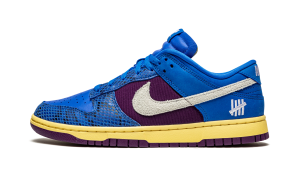 nike-dunk DH6508-400