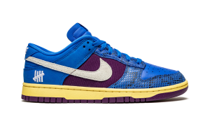 nike-dunk DH6508-400