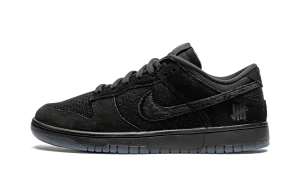 nike-dunk DO9329-001