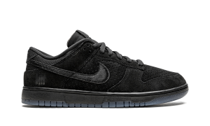 nike-dunk DO9329-001
