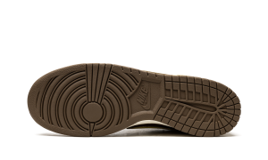 nike-dunk DH3061-200