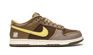 nike-dunk DH3061-200