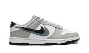 nike-dunk FD0661-100