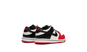 nike-dunk DC9562-100