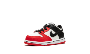 nike-dunk DC9562-100
