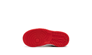nike-dunk DC9562-100