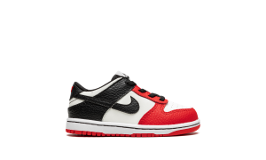 nike-dunk DC9562-100