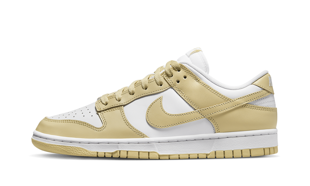 nike-dunk DV0833-100