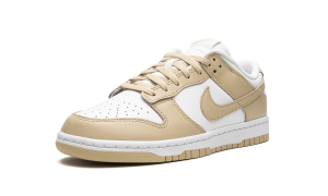 nike-dunk DV0833-100