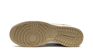 nike-dunk DV0833-100