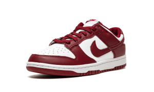 nike-dunk DD1391-601