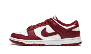 nike-dunk DD1391-601