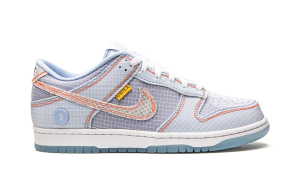 nike-dunk DJ9649-400