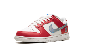 nike-dunk IR1970-604