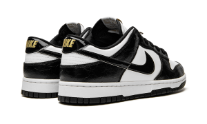 nike-dunk DR9511-100