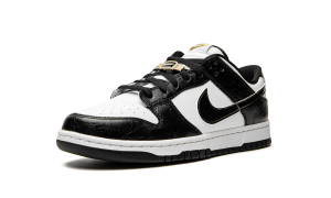 nike-dunk DR9511-100
