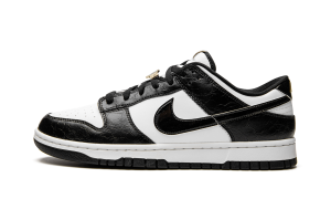 nike-dunk DR9511-100