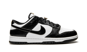nike-dunk DR9511-100