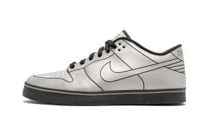 Nike Dunk Low 6.0 SE Delorean DMC-12