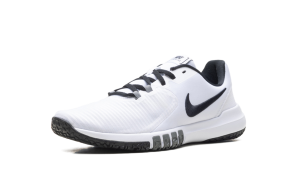 nike-flex CD0197-100