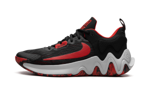 Nike Giannis Immortality 2 “Bred” (DM0825-005)