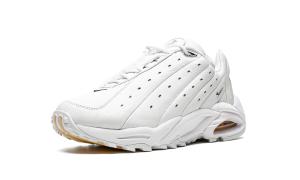 nike-hot-step-air-terra DH4692-100