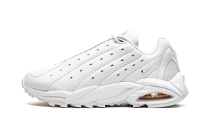 nike-hot-step-air-terra DH4692-100