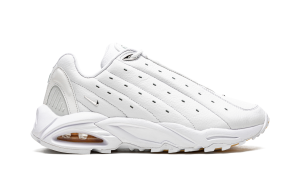 nike-hot-step-air-terra DH4692-100