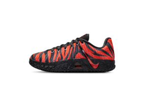 Nike JA 3 GS “Animal Pack Tiger” (IV2622-800)