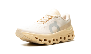 on-cloudmonster 3WF30484910