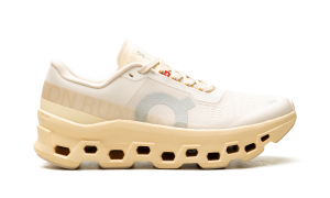 on-cloudmonster 3WF30484910