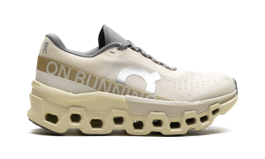 on-cloudmonster 3WE10112569