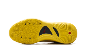 puma-all-pro-nitro 312843-01