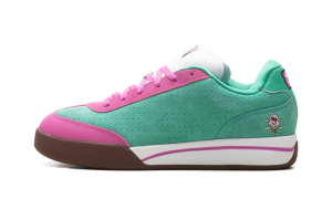 Reebok Board Flip “BBC Ice Cream – Green Pink” (100271-140)