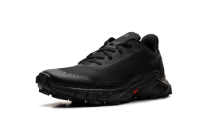 salomon-alphacross L47307-500