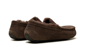 ugg-ascot 1101110-DDC