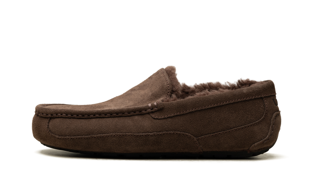 ugg-ascot 1101110-DDC