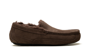 ugg-ascot 1101110-DDC