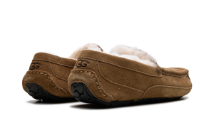 ugg-ascot 1101110-CHE
