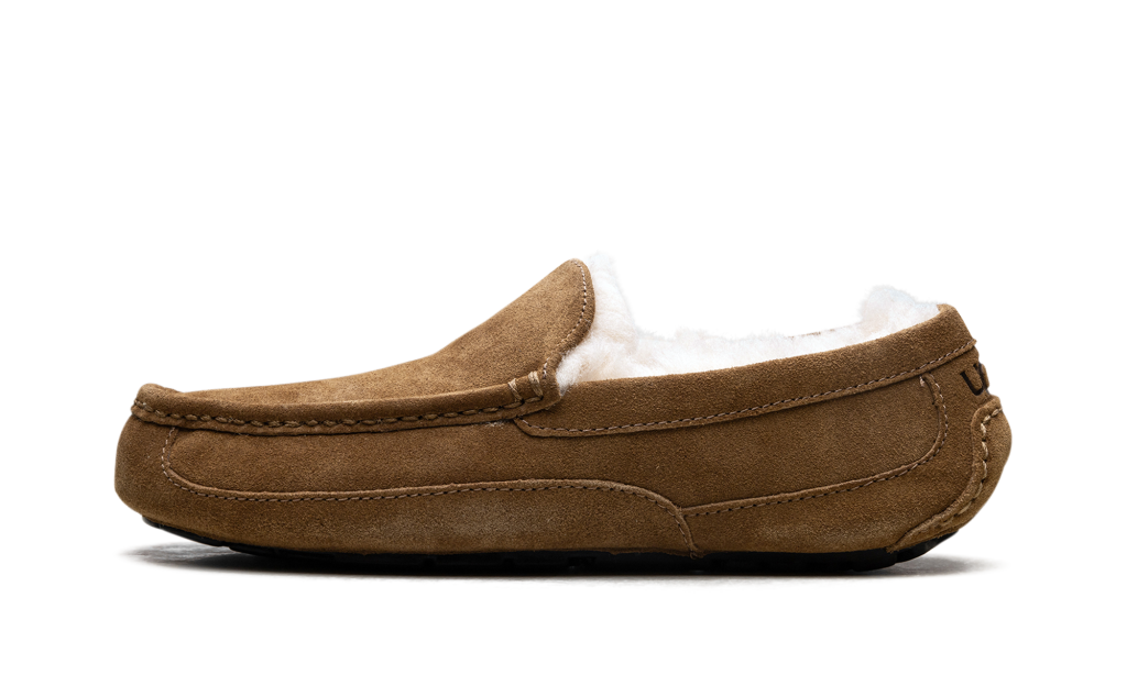 ugg-ascot 1101110-CHE