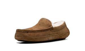 ugg-ascot 1101110-CHE