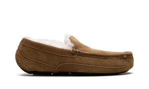 ugg-ascot 1101110-CHE