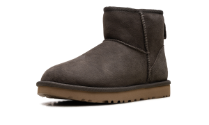 ugg-classic-mini-ii 1016222-SLA